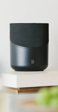 BLUESOUND PULSE M