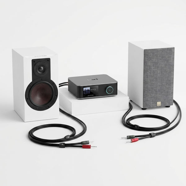 STEREOANLAGE (2.0): DALI OPTICON 2 MK2 + WiiM Amp Ultra + AudioQuest Rocket 11