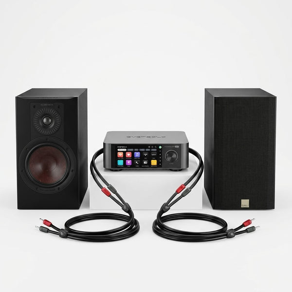 STEREOANLAGE (2.0): DALI OPTICON 2 MK2 + Eversolo Play + AudioQuest Rocket 11
