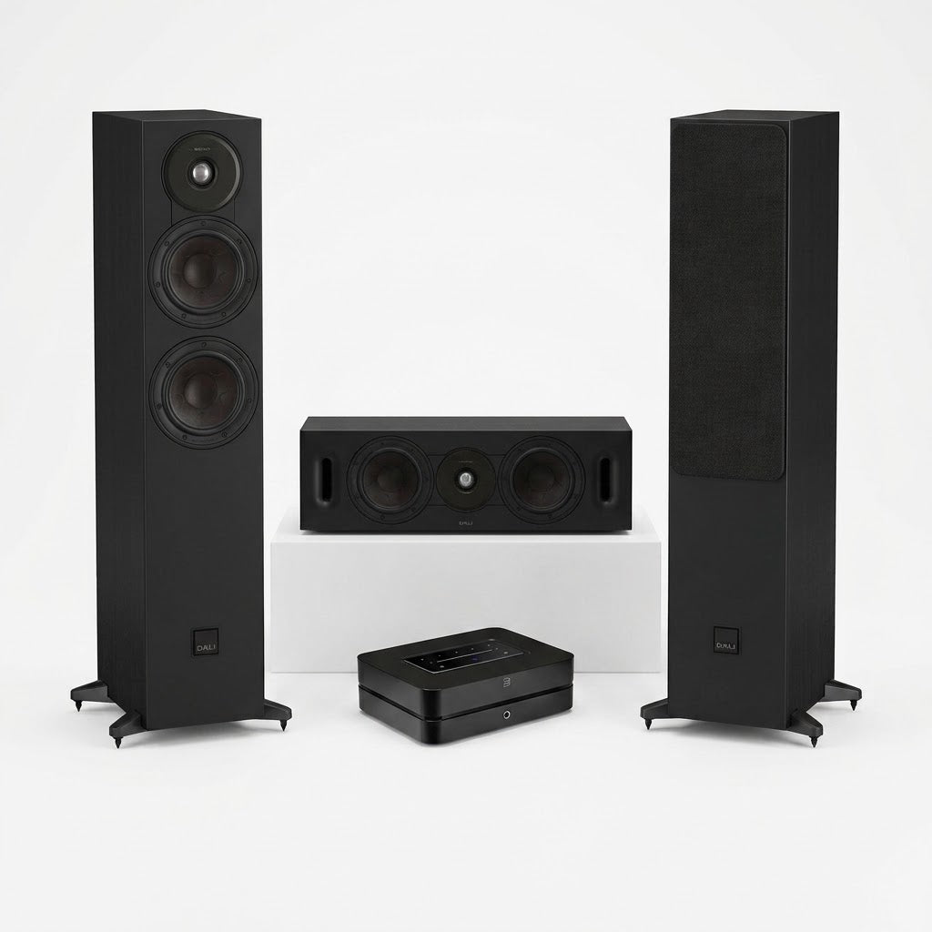 STEREOANLAGE (3.0): DALI Sonik 5 + DALI Sonik Cinema + Bluesond Powernode N331