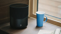 BLUESOUND PULSE M