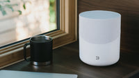 BLUESOUND PULSE M