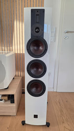 DALI RUBIKORE 5.1 Referenz-System (aus der Vorführung)