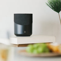 BLUESOUND PULSE M