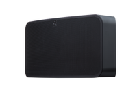 BLUESOUND PULSE 2i