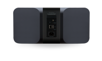 BLUESOUND PULSE 2i