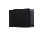 BLUESOUND PULSE MINI 2i