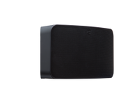 BLUESOUND PULSE MINI 2i
