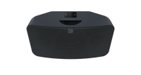BLUESOUND PULSE MINI 2i