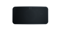 BLUESOUND PULSE MINI 2i