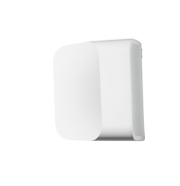 BLUESOUND PULSE MINI 2i