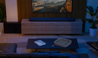 BLUESOUND PULSE CINEMA