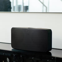 BLUESOUND PULSE MINI 2i