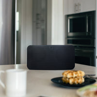 BLUESOUND PULSE MINI 2i