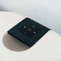 BLUESOUND PULSE 2i