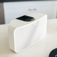 BLUESOUND PULSE 2i