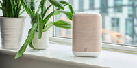 Bluesound Pulse Flex