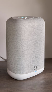Bluesound Pulse Flex