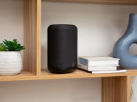Bluesound Pulse Flex