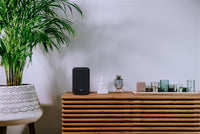 Bluesound Pulse Flex