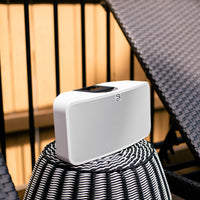 BLUESOUND PULSE MINI 2i