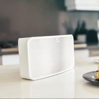 BLUESOUND PULSE MINI 2i