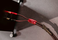 Audioquest Brave Heart ZERO-Tech