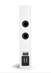 DALI Opticon 6 MK2 / Stückpreis