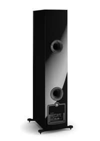 DALI Rubicon 6 C / Stückpreis