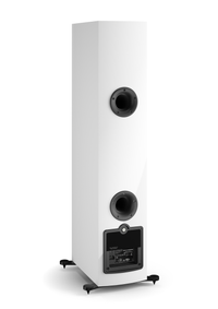 DALI Rubicon 6 C / Stückpreis