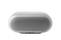 Denon Home 600