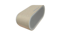 Denon Home 600