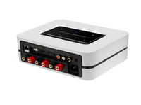 STEREOANLAGE (2.0): DALI MENUET SE + BLUESOUND POWERNODE N331