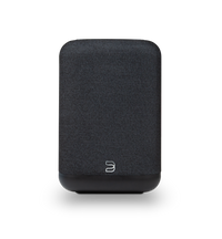 Bluesound Pulse Flex