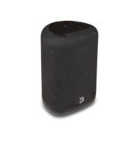 Bluesound Pulse Flex