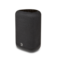 Bluesound Pulse Flex