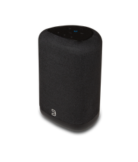Bluesound Pulse Flex