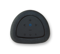 Bluesound Pulse Flex