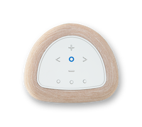Bluesound Pulse Flex