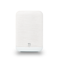 Bluesound Pulse Flex