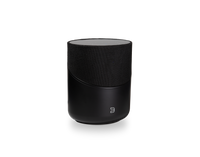 BLUESOUND PULSE M