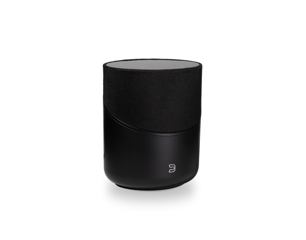 BLUESOUND PULSE M