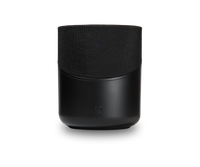 BLUESOUND PULSE M