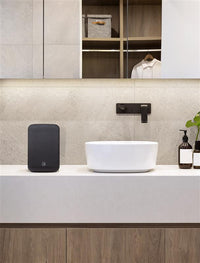 Bluesound Pulse Flex