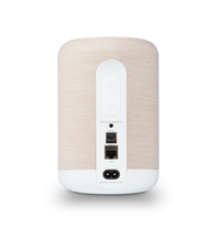 Bluesound Pulse Flex