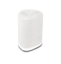 Bluesound Pulse Flex