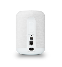 Bluesound Pulse Flex