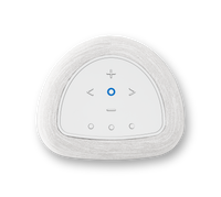 Bluesound Pulse Flex