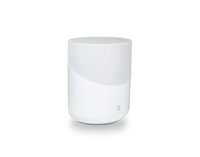 BLUESOUND PULSE M