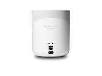 BLUESOUND PULSE M